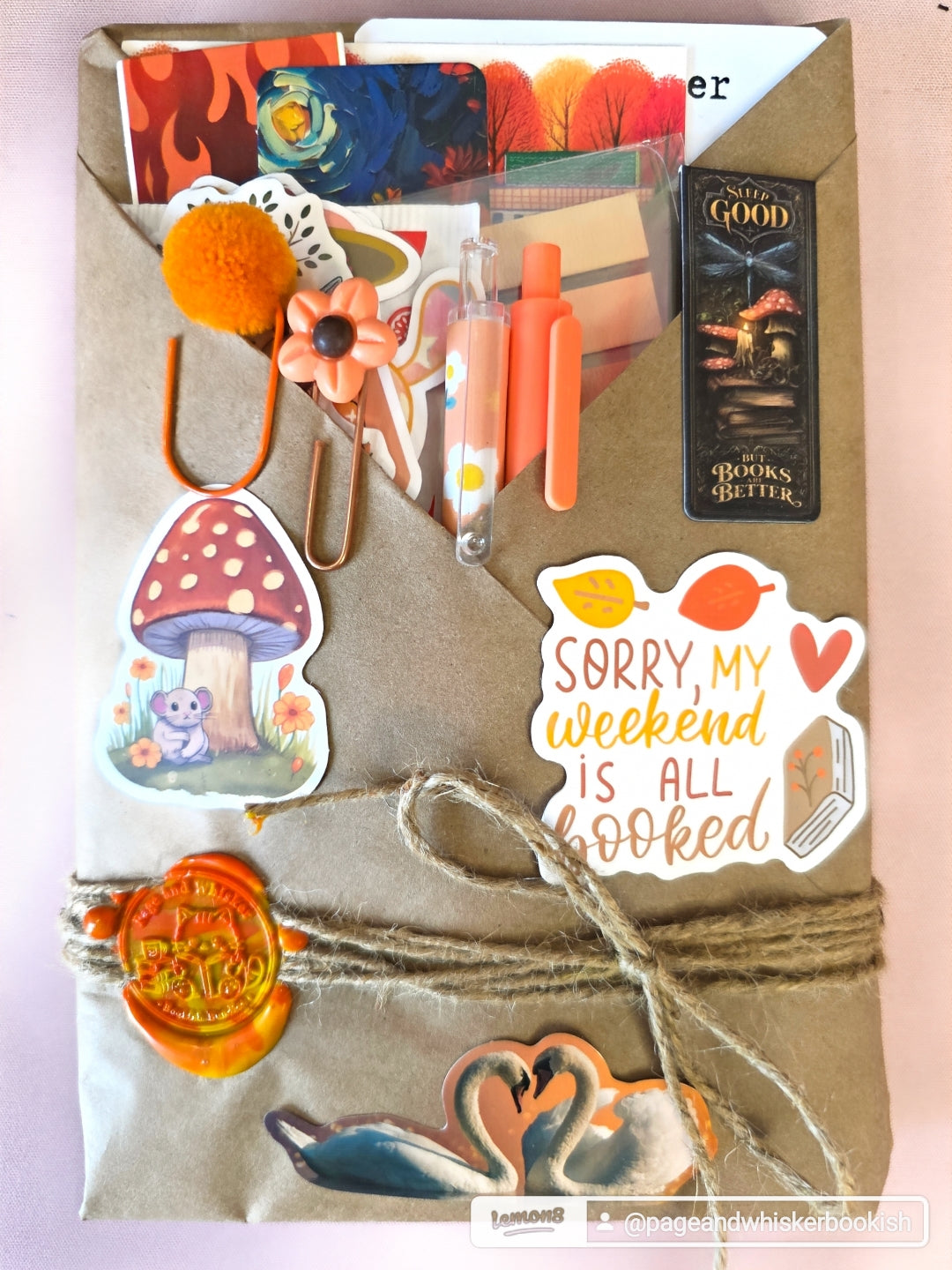Blind Date with a Book | Second Date | Pre-Loved